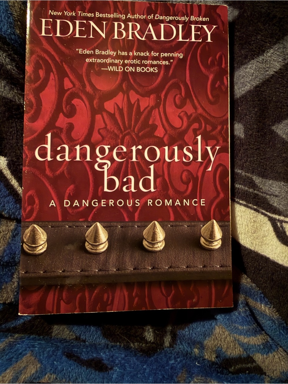Dangerously Bad book